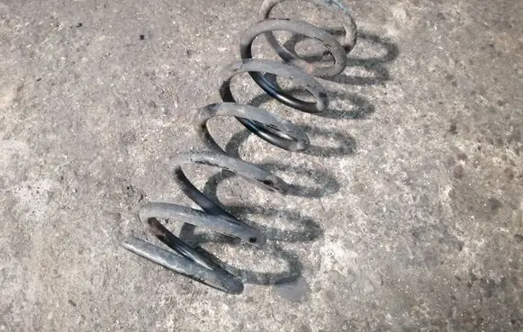 Rear coil spring