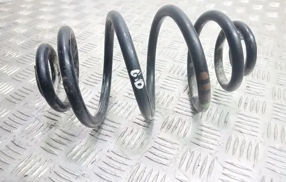 Volkswagen PASSAT B5.5 Rear coil spring
