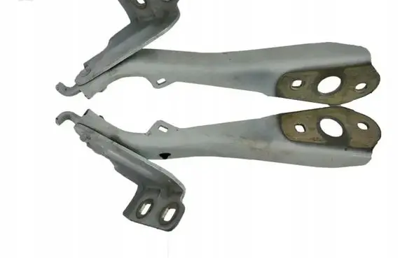 Renault Master III Engine bonnet/hood hinges 654000006R