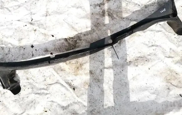 Volkswagen Phaeton Wiper trim 3d1819415c