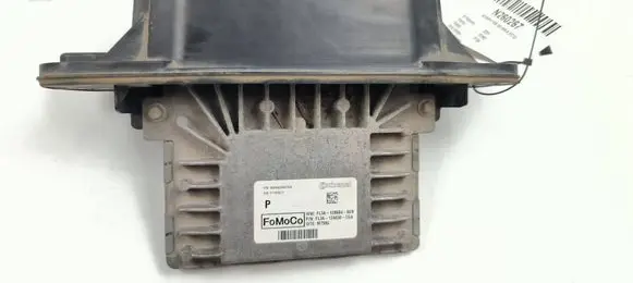 Ford F150 Engine control unit/module FL3A12B684BEB