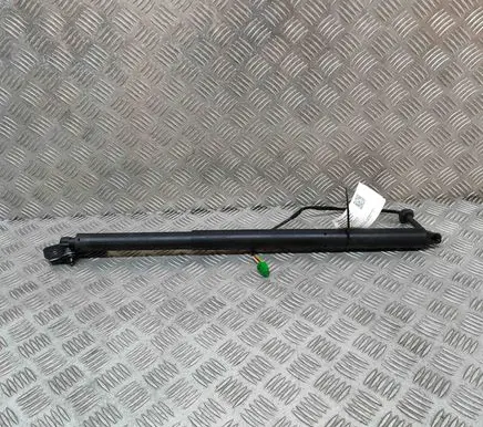 Tailgate/trunk strut/damper