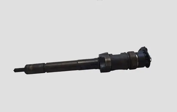 Citroen C5 Fuel injector 0445110297