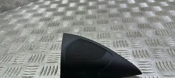 Front door high frequency speaker