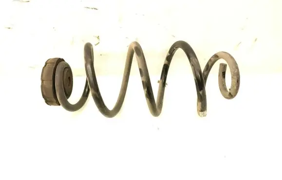 Rear coil spring