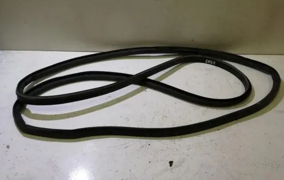 Opel Insignia A Rubber seal front coupe door 