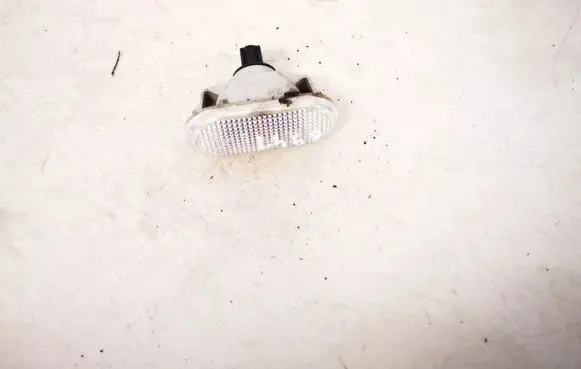 Front fender indicator light