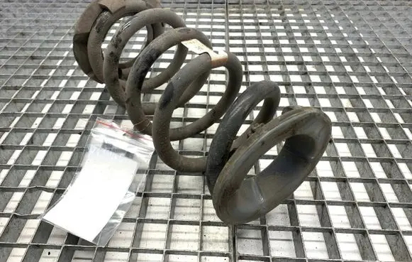 Tesla Model Y Rear coil spring 118847600B