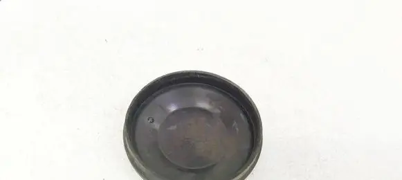 Renault Espace - Grand espace IV Headlight/headlamp dust cover 153874