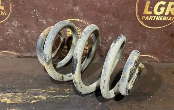 Rear coil spring