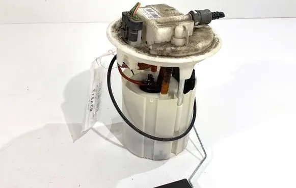Peugeot 207 In-tank fuel pump 9684934480