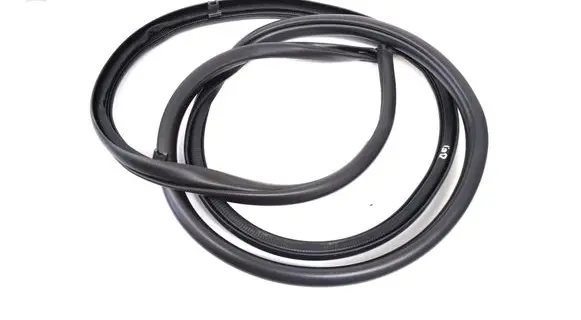 Opel Insignia A Rubber seal rear door 