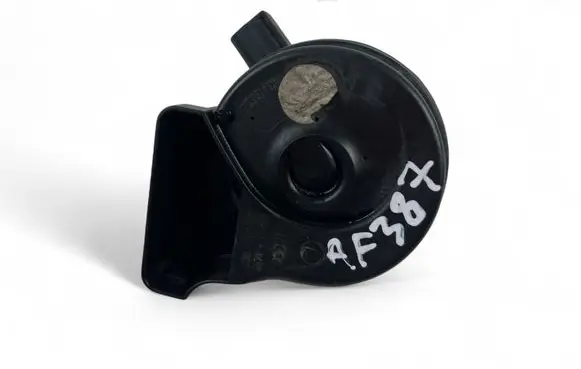 Volkswagen PASSAT B7 Alarm system siren E30055307