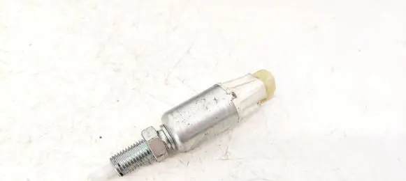 Toyota RAV 4 (XA30) Brake pedal sensor switch
