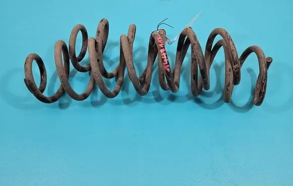 Rear coil spring