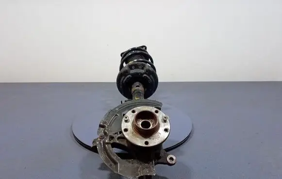 Renault Megane I Front shock absorber/damper 543029846R