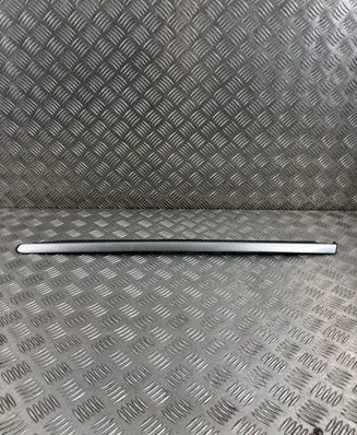 Mercedes-Benz R AMG W251 Rear door glass trim molding 251690788080 25169078
