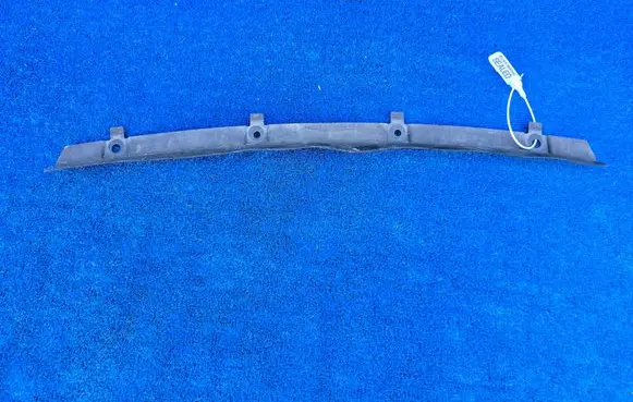 BMW Z4 E89 Front bumper lower grill 7207941