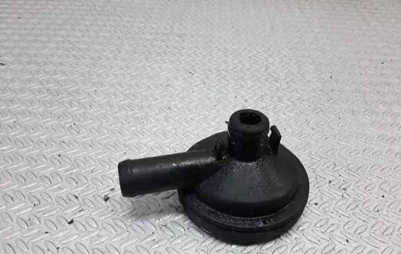 Renault Clio II Breather/breather pipe/hose 