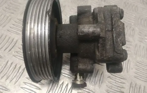Volkswagen Sharan Power steering pump 038145255B