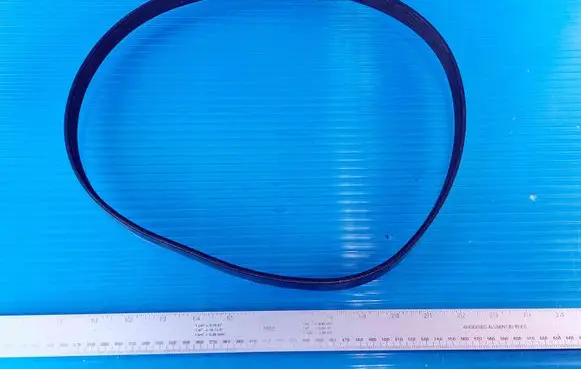Ford Focus Alternator belt JX6Q6C301AA