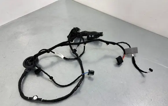 Rear door wiring loom