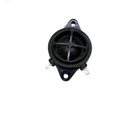 Front door high frequency speaker