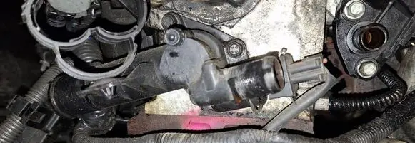 Nissan Note (E11) Engine coolant pipe/hose 