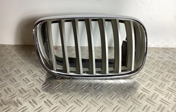 BMW X5 E70 Front bumper lower grill 51137171396 51317157688