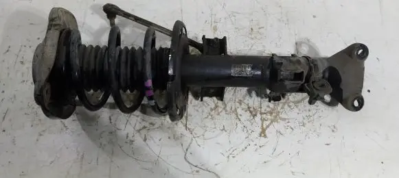 Mercedes-Benz SLK R172 Front shock absorber/damper A1723206113