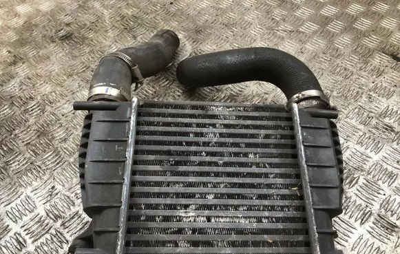 Nissan Juke I F15 Intercooler radiator 144611KB1A
