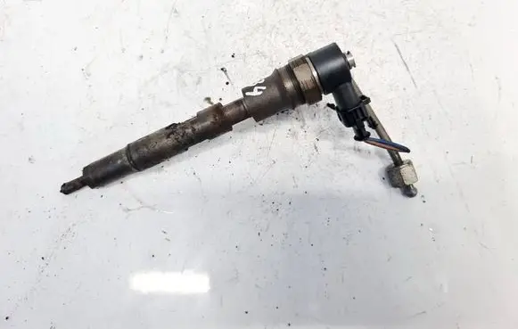 Chrysler Grand Voyager IV Fuel injector 0445110059