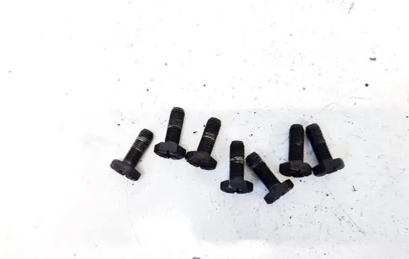 Renault Scenic I Nuts/bolts 