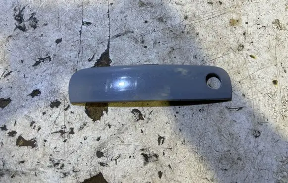Dodge Challenger Front door cover/cap TL03NW22156