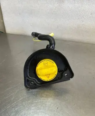 Renault Trafic III (X82) Oil filler cap 