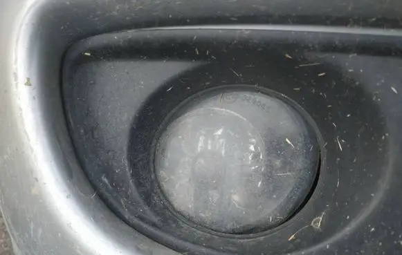Front fog light