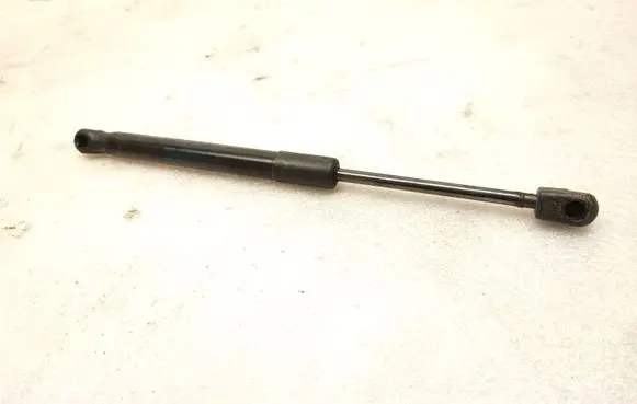 Ford Mustang VI Tailgate/trunk strut/damper FR3B63406A10AB