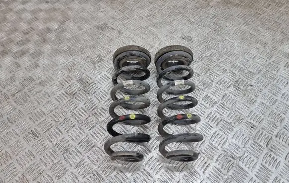 Rear coil spring