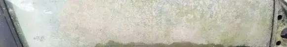 Ford Scorpio Front door glass trim molding 