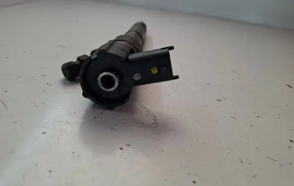 KIA Ceed Fuel injector 0445110320 338002A900