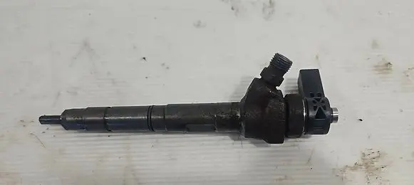 Volkswagen PASSAT B6 Fuel injector 0445110369