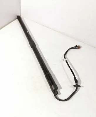 Tailgate/trunk strut/damper