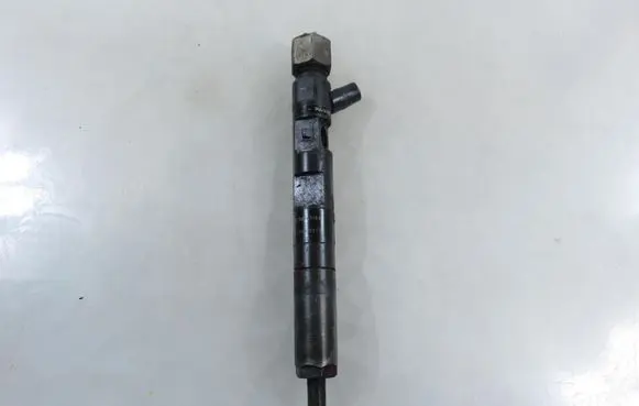 Renault Kangoo I Fuel injector 8200365186 EJBR01801A 8200049873