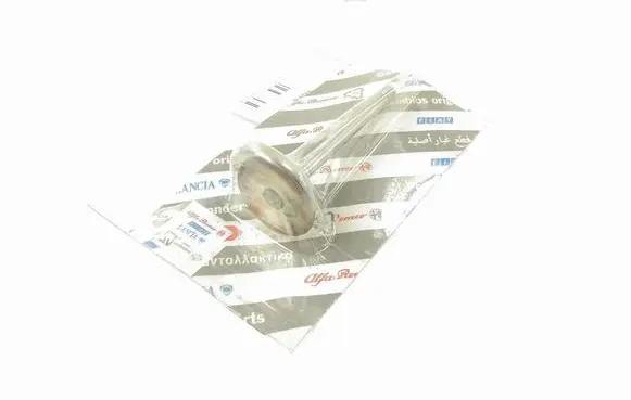 Fiat Ulysse Valve oil control 9605936180