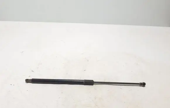 Renault Scenic IV - Grand scenic IV Tailgate strut 904502954R