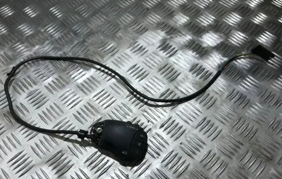 Multifunctional control switch/knob