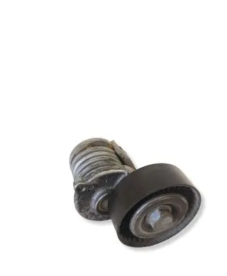 Volkswagen Crafter Generator/alternator belt tensioner 038903315