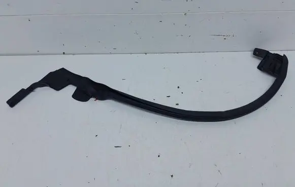 Tesla Model S Front door rubber seal 100542300D