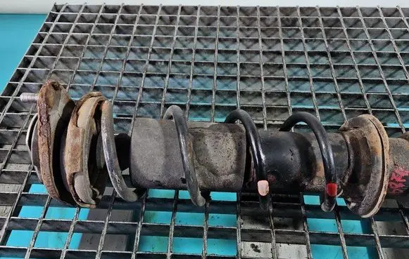 Rear coil spring