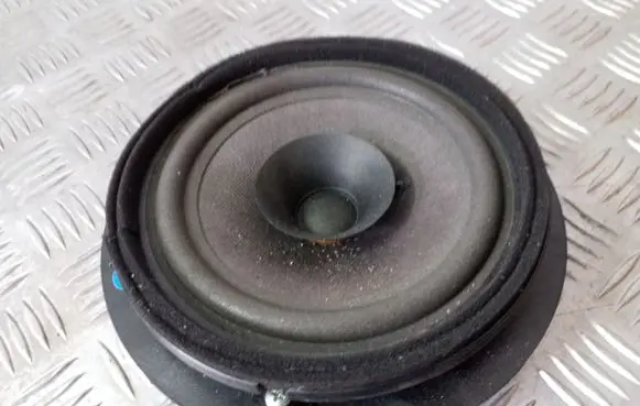 Suzuki Grand Vitara II Rear door speaker 3910265J30